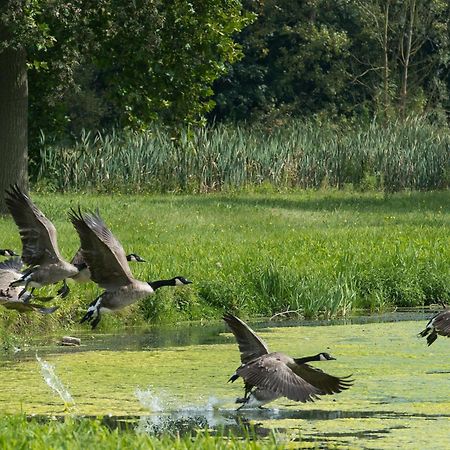 B&B Park7 Wavre - Leuven Huldenberg Luaran gambar