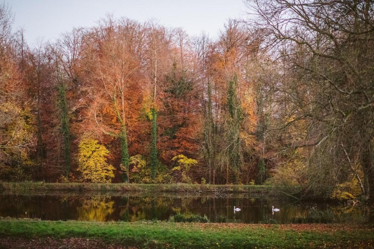 B&B Park7 Wavre - Leuven Huldenberg Luaran gambar