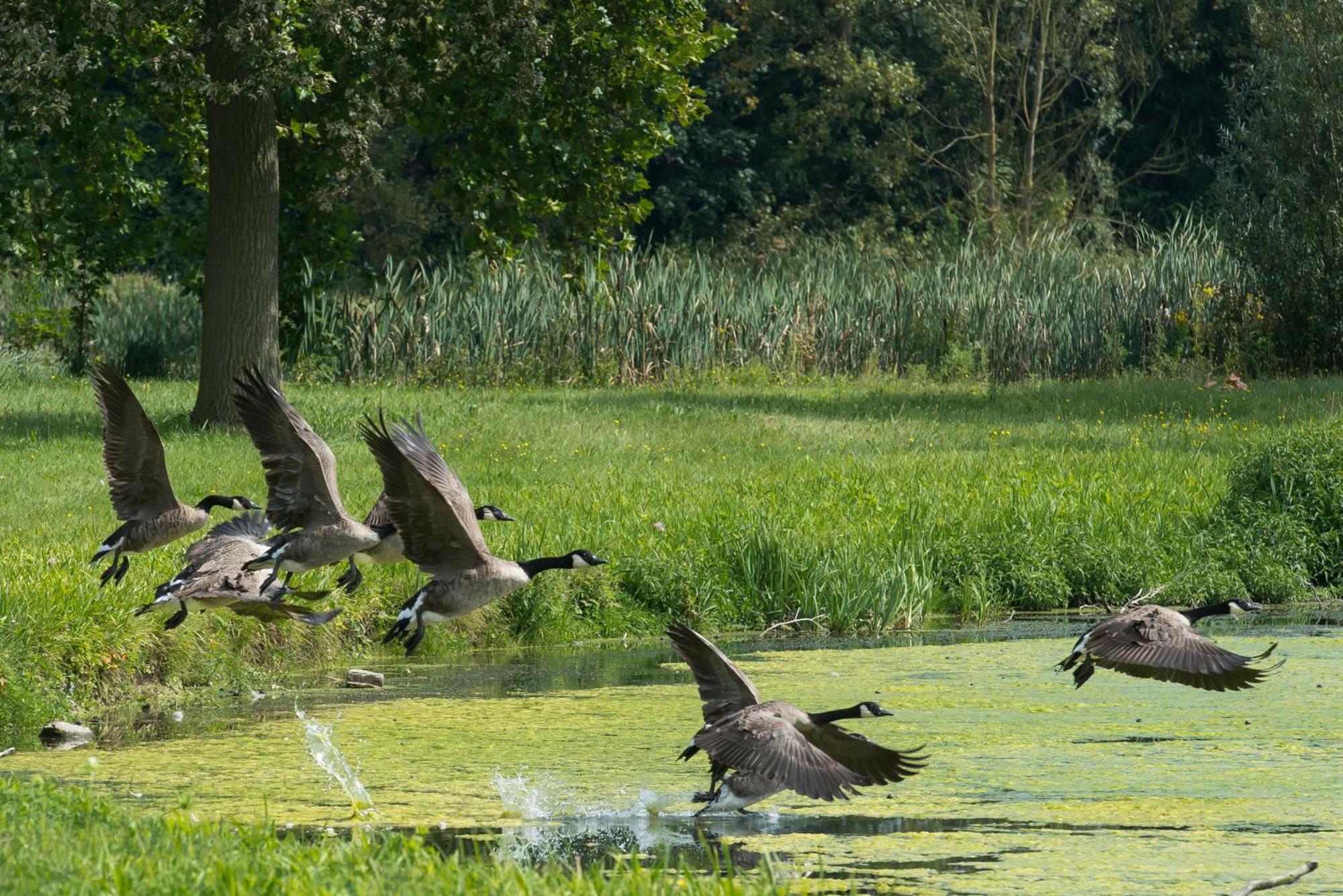 B&B Park7 Wavre - Leuven Huldenberg Luaran gambar